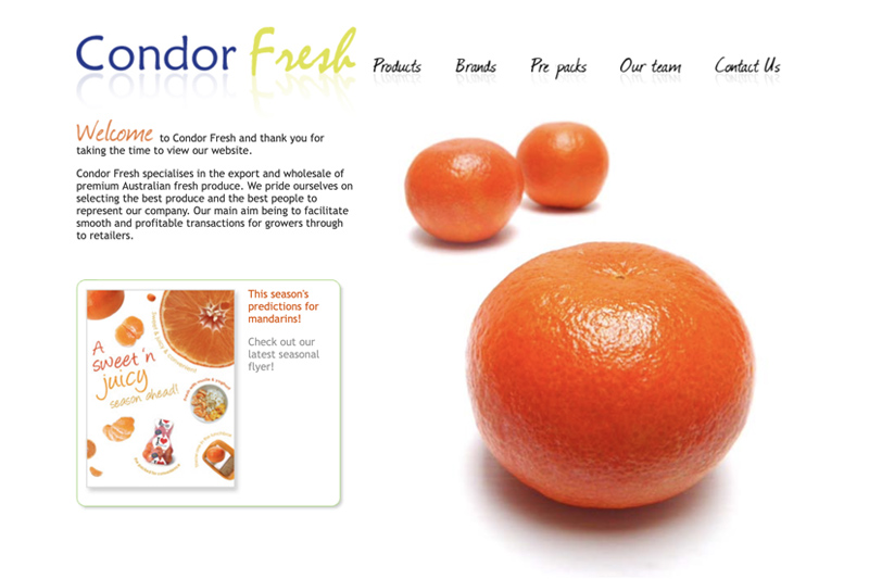 Condor Fresh corporate website